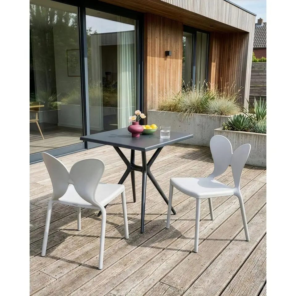 LARISSA - Tuinstoel set van 2 - Lichtgrijs - Kunststof