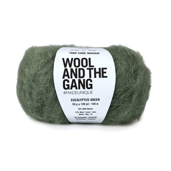 Wool and the Gang Eucalyptus Green Take Care Mohair 50g