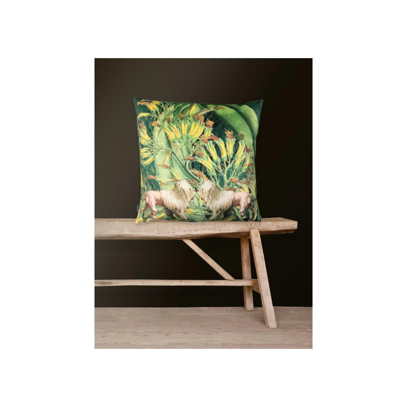 LION DOGS - Coussin en velours 50x50