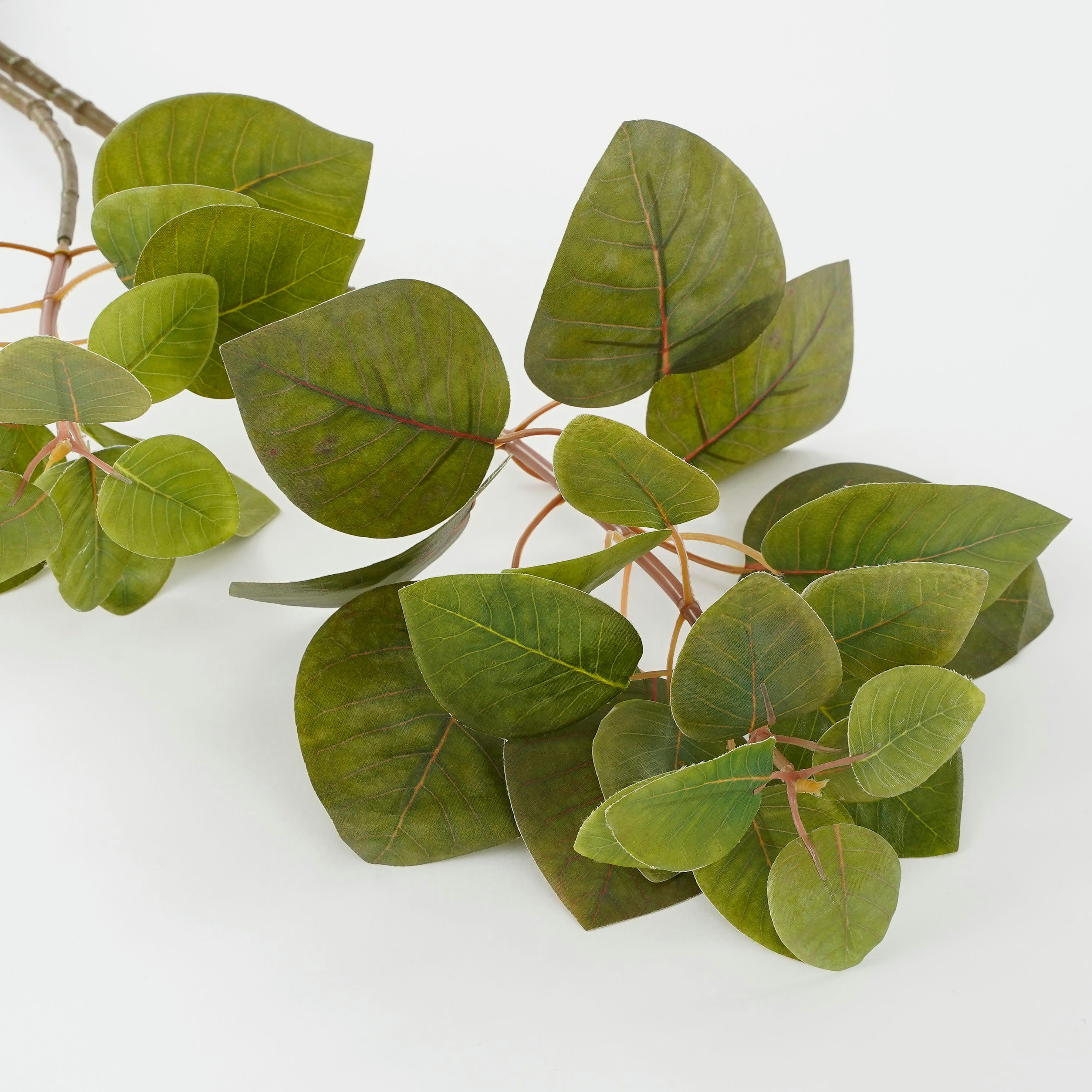 - Eucalyptus artificielle et ses racines vert H64