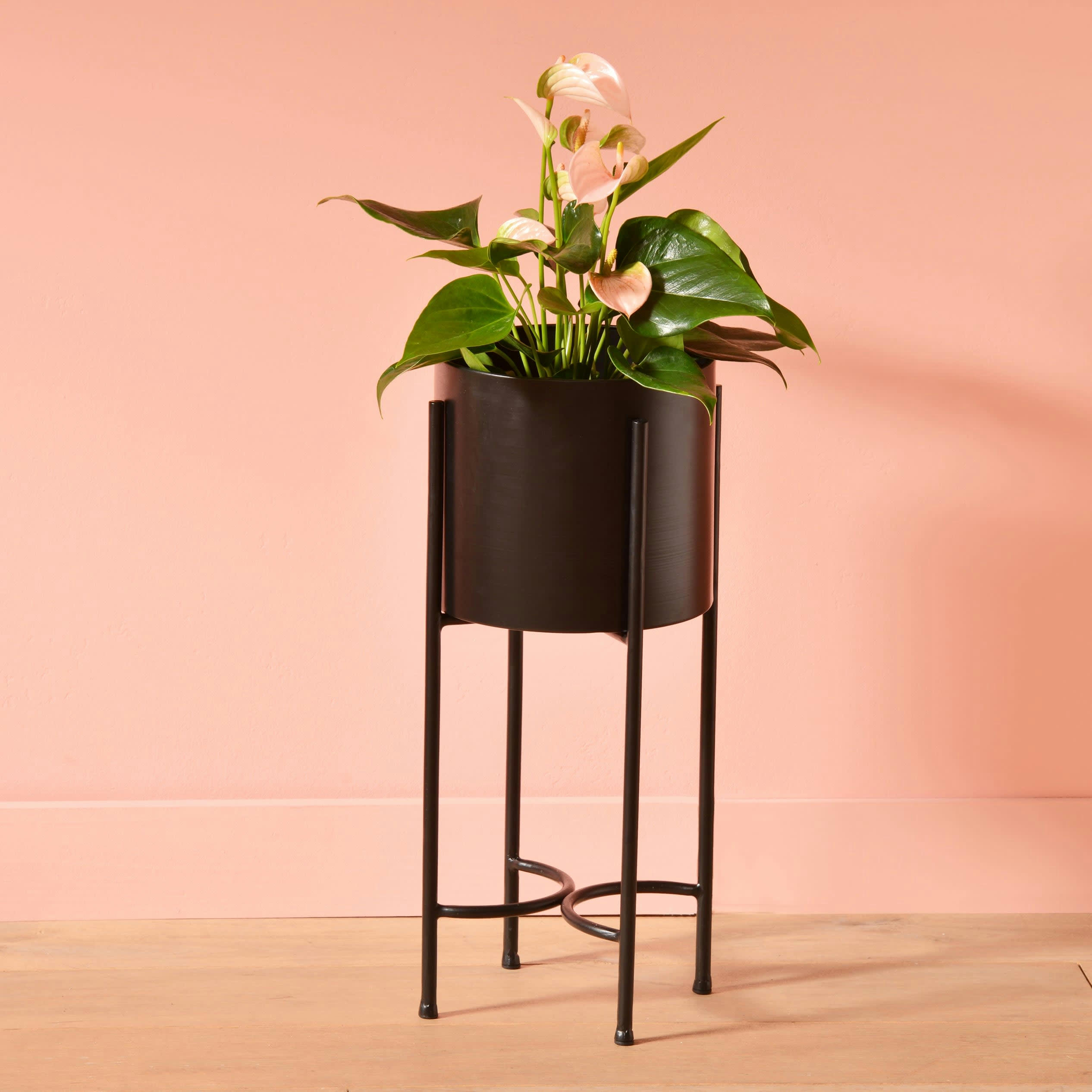 QUANT - Cache-pot d'intérieur en métal noir