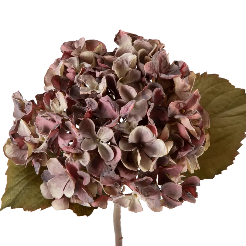 Kunstblume Ortensia