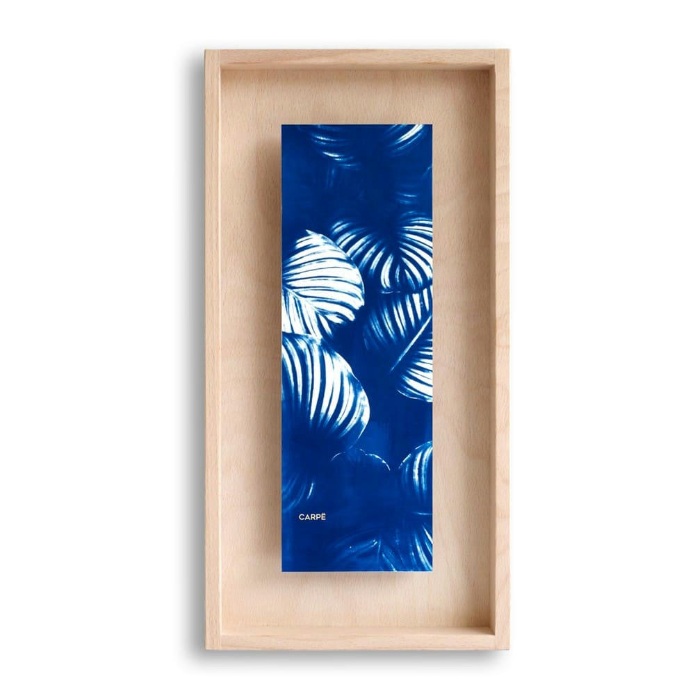CARPË - Cadre en bois cyanotype calathea 40x20cm