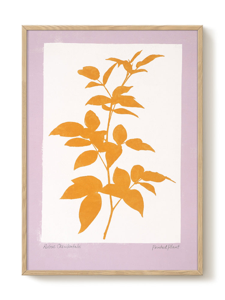 PrintedPlant - Rubus - PSTR studio Kunst Poster