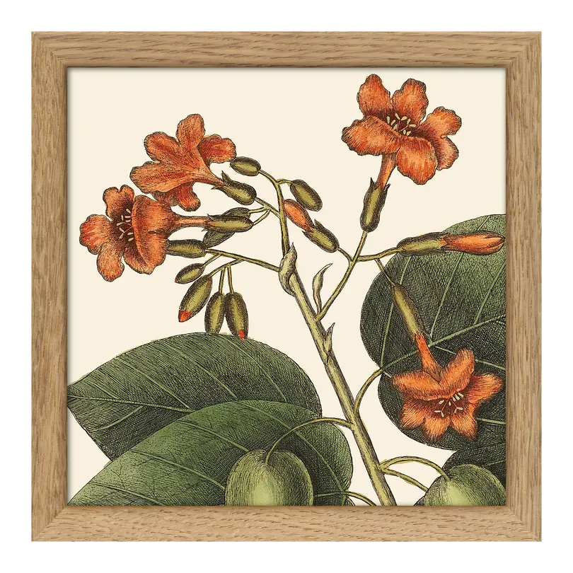 Bild mit Rahmen Botanical
