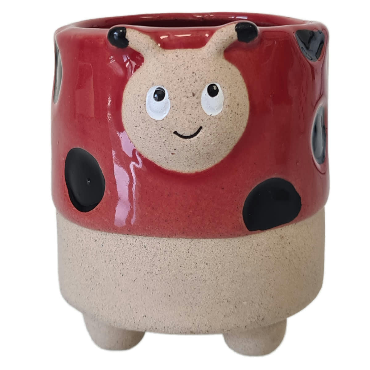 - Cache pot coccinelle