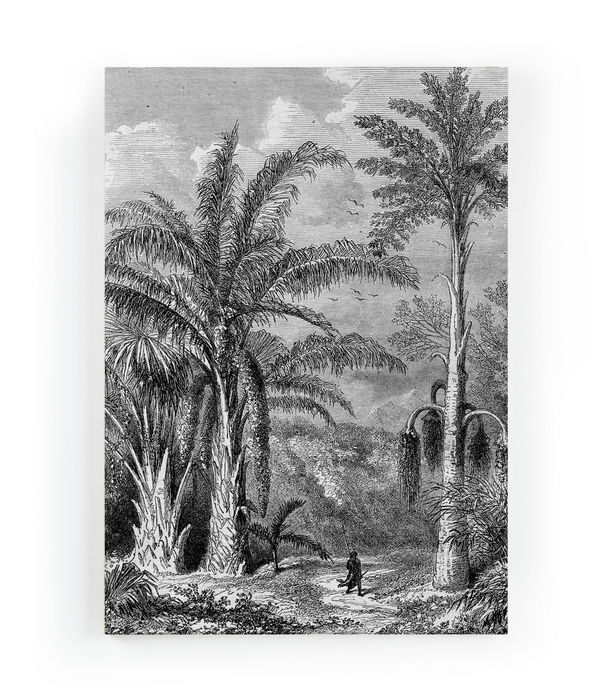 Canvas 60x40 Wandeling door de Jungle