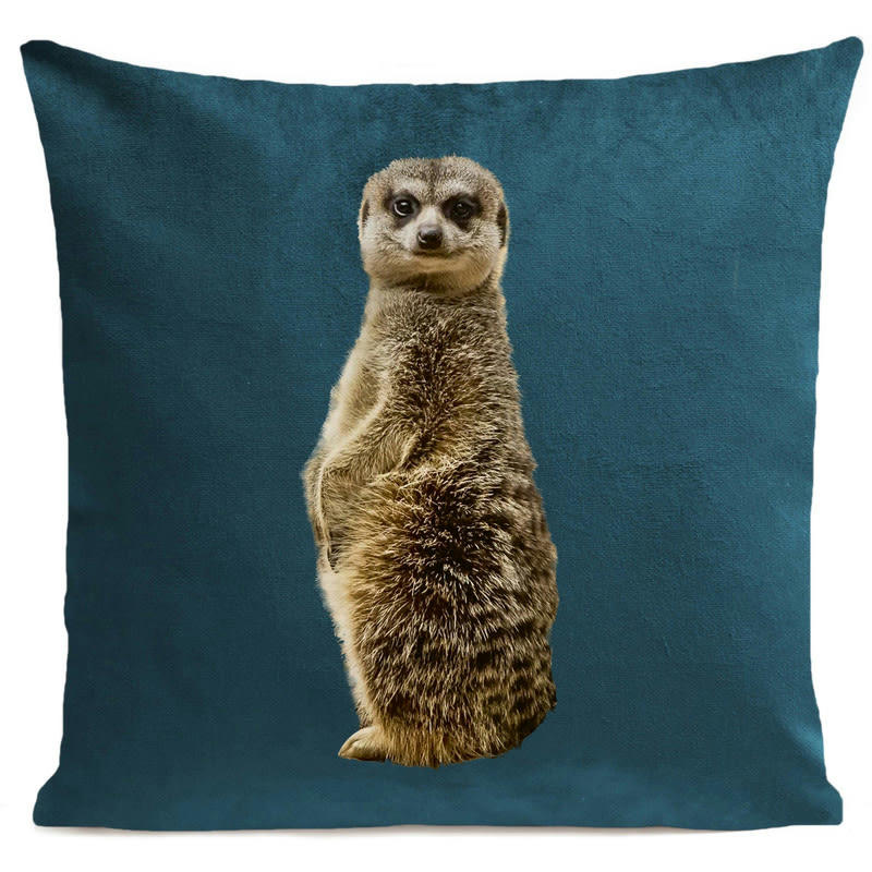 - Coussin animal tropical velours bleu canard 40x40cm