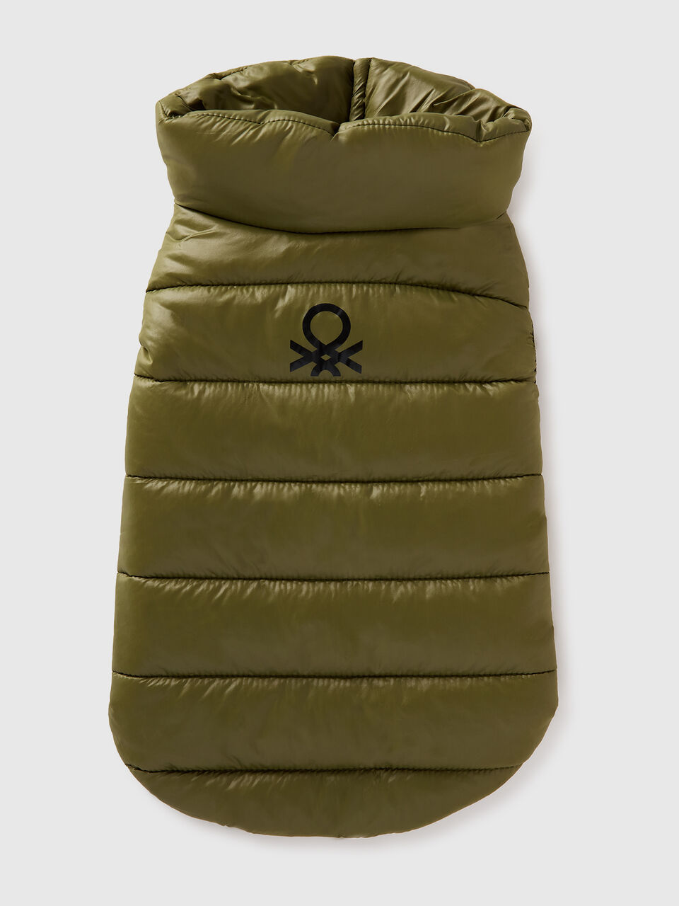 Green padded jacket for dogs