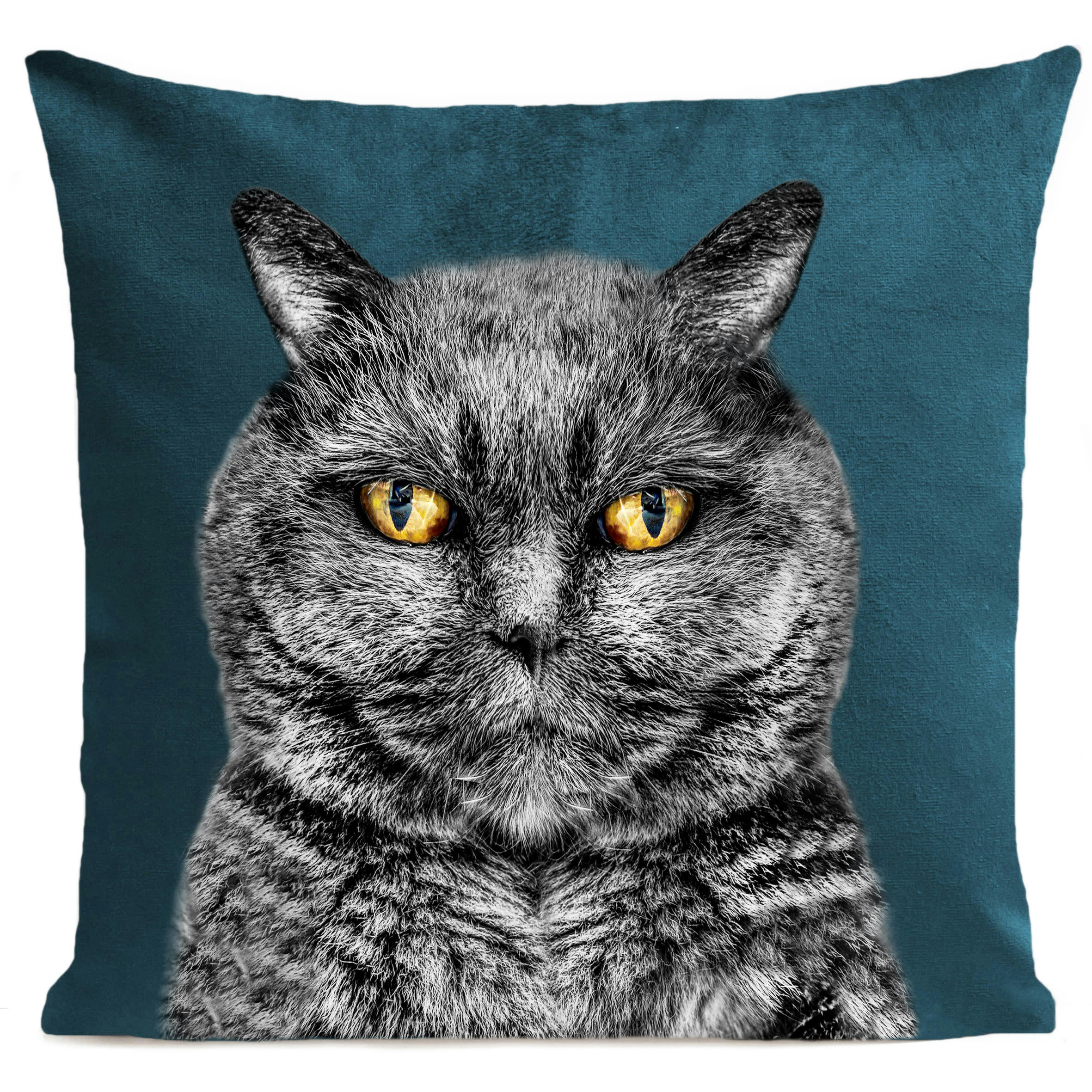 - Coussin chat suédine vert 40x40cm