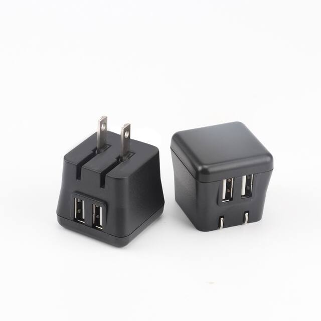 Bluehive 2.4A 2-Port USB Wall Charger, Compatible with Most Devices