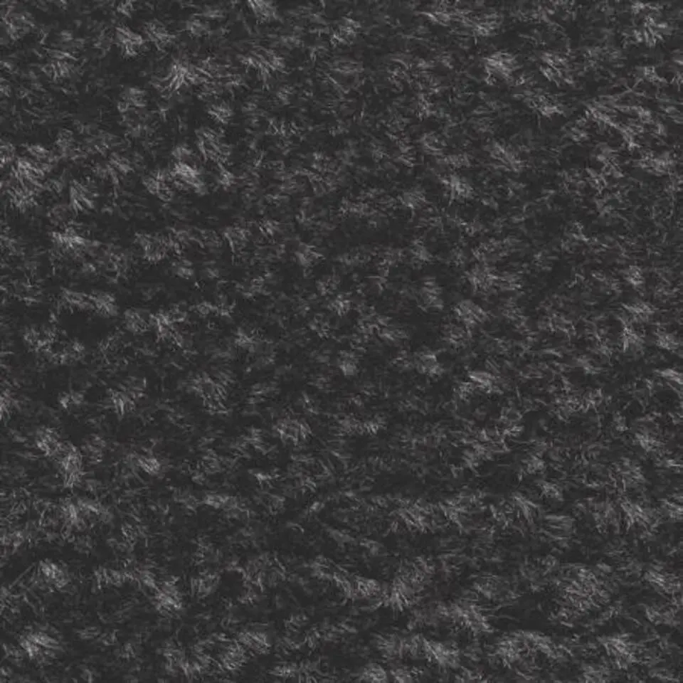 Schoonloopmat Future 60x80cm zwart