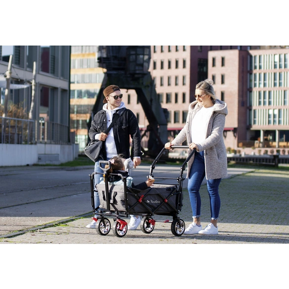 Bollerwagen »AddPlus«, BxHxL: 56 x 67 x 120 cm, max. Belastung: 80 kg
