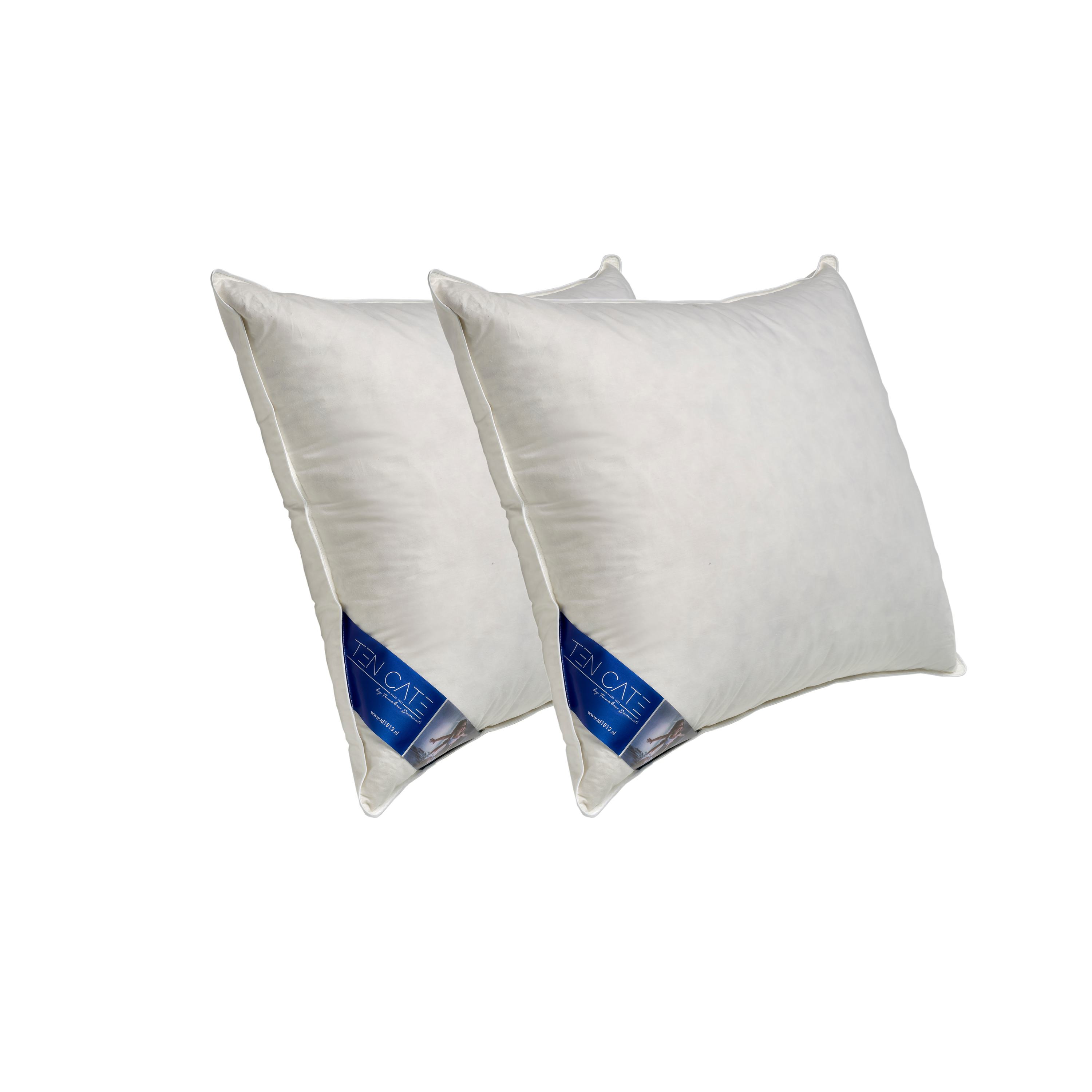Ten Cate hoofdkussen - halfdons - 60x70 - 2 stuks