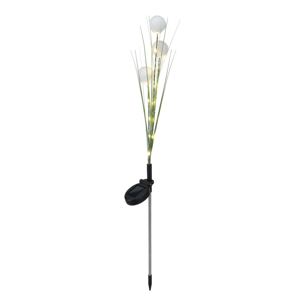 Piquet solaire tiges herbes avec pompons blancs 22LED blanc chaud H76cm