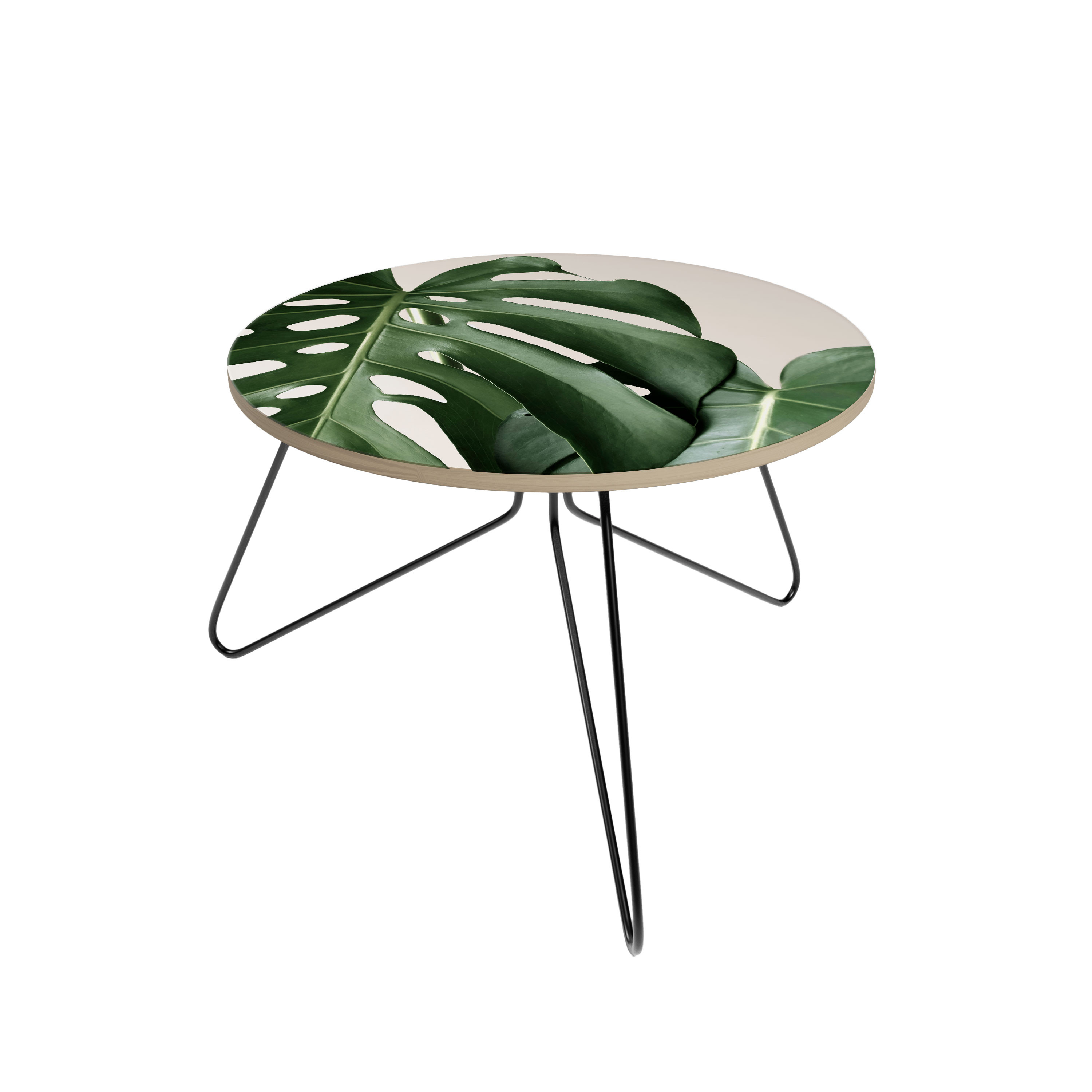 MONSTERA ACCURACY Stolik kawowy mały