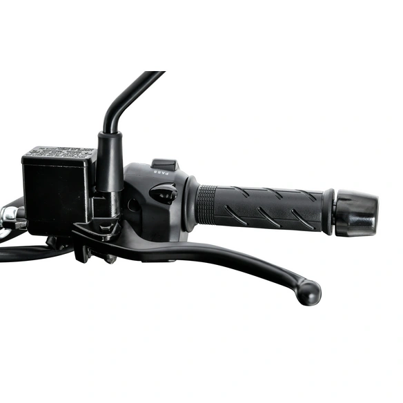 Motorroller »ADV X-treme«, 125 ccm, 85 km/h, EURO 5 , silber-schwarz, inkl. Topcase