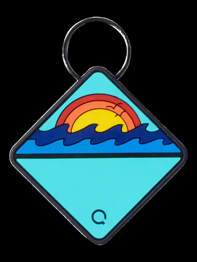 Qalo TraQ Silicone Dog ID Tag