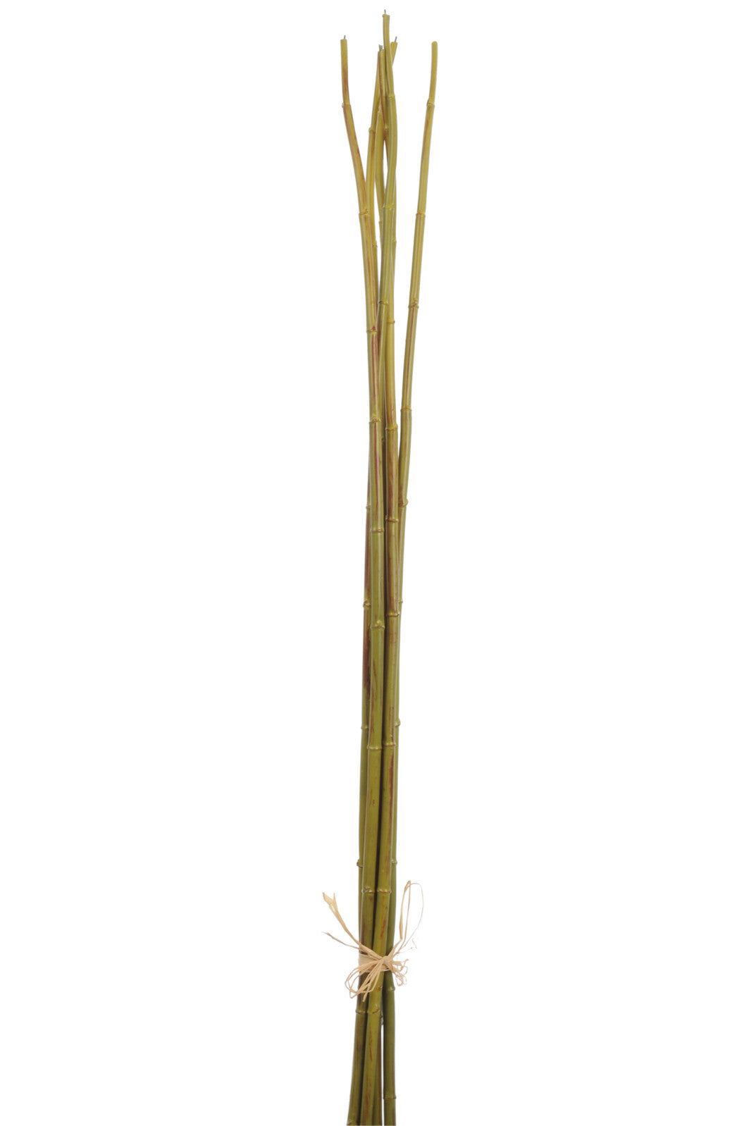 J-Line decoratie tak Bamboebundel - kunststof - groen - large - 6 stuks