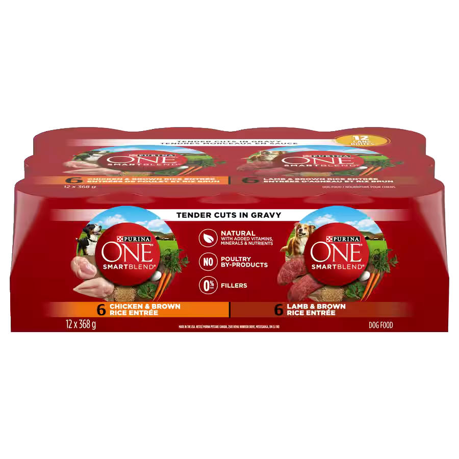 Purina ONE® SmartBlend® Tender Cuts in Gravy Wet Dog Food Variety Pack, 12-pk