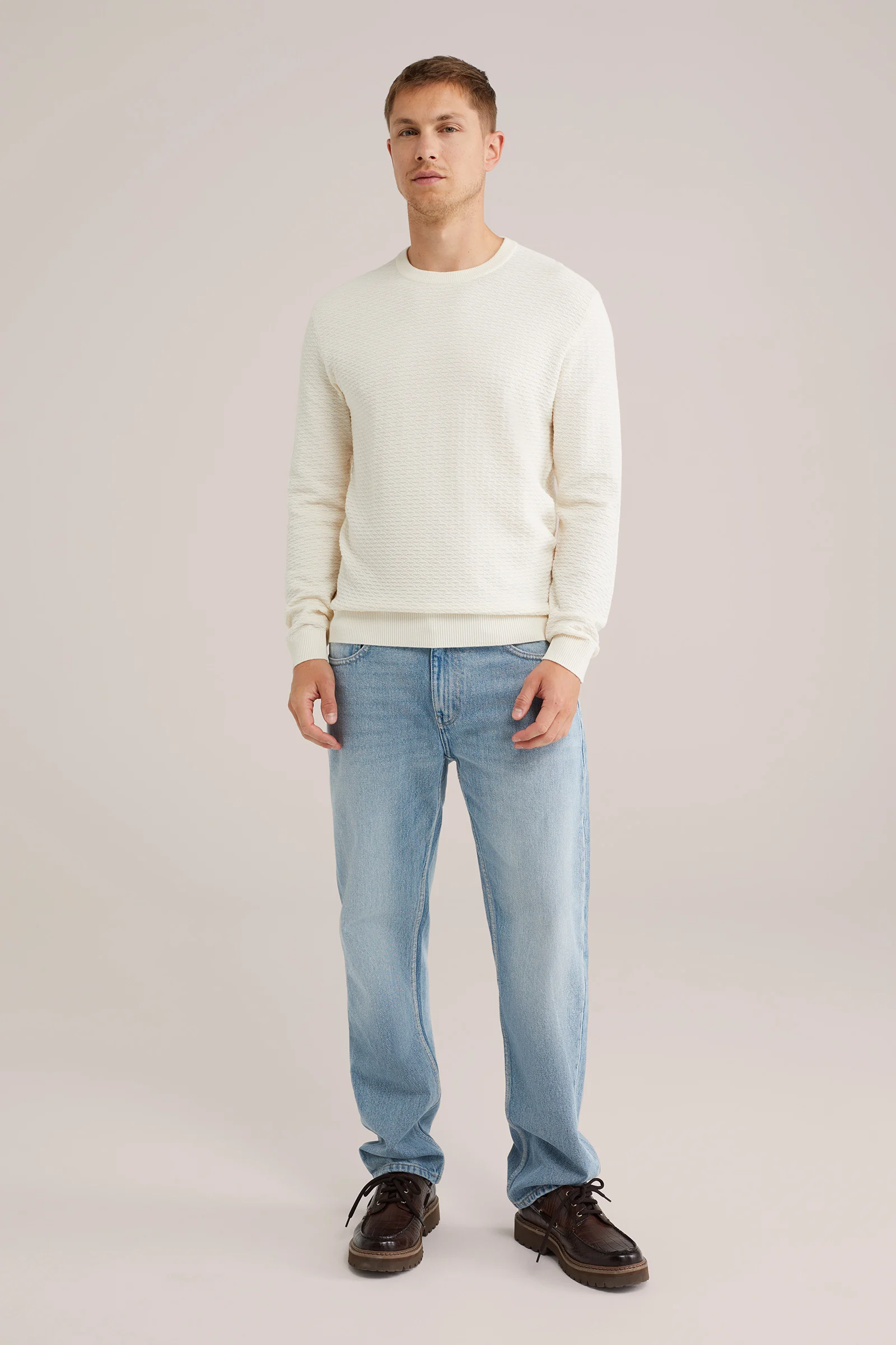 Heren Regular fit gebreide trui met structuur