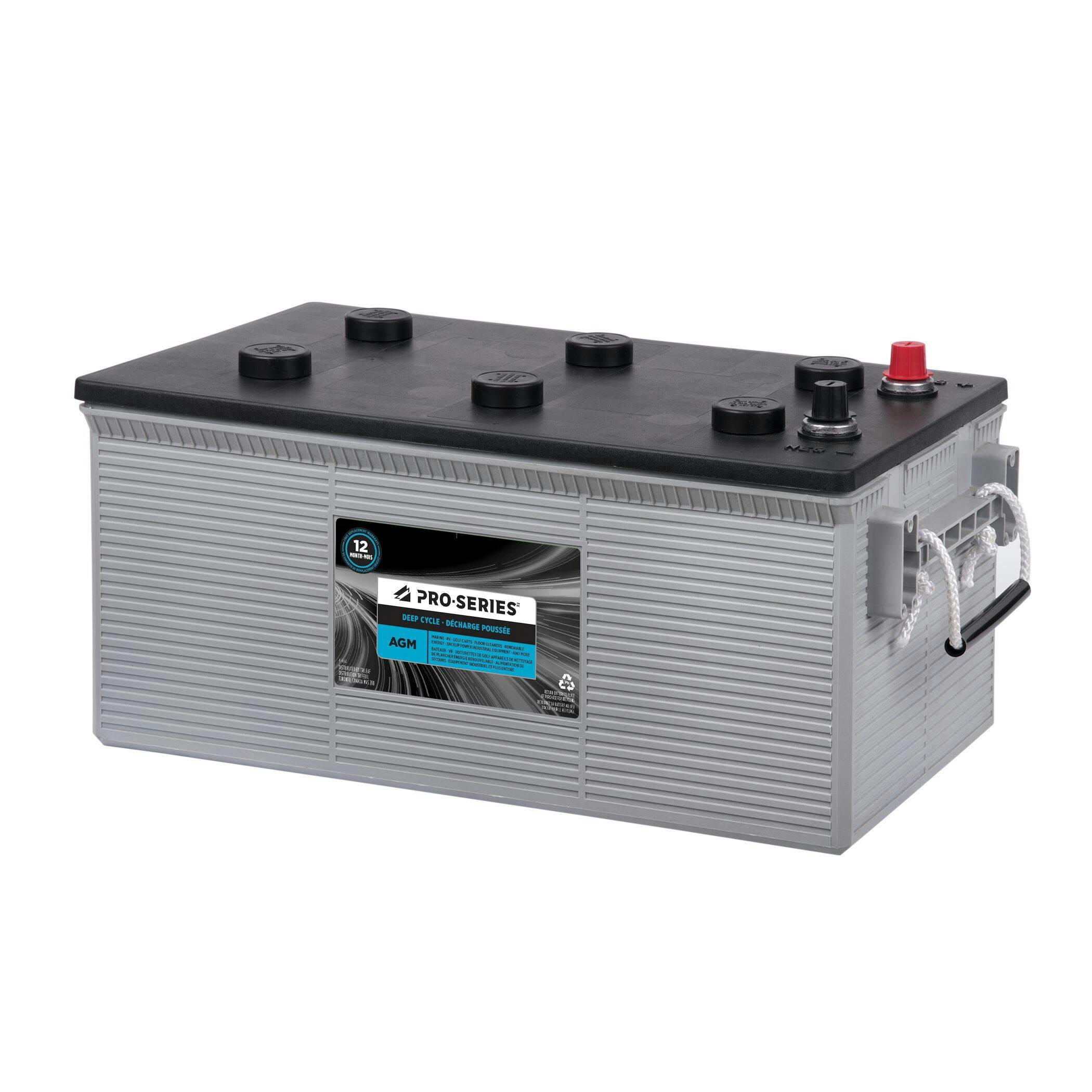 PRO-SERIES AGM Group Size 8D Battery