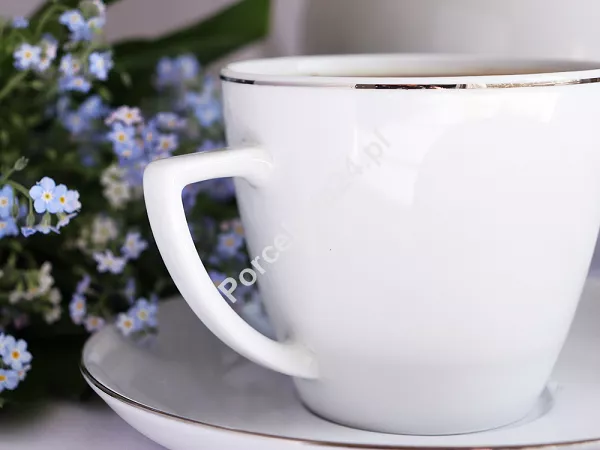 Filiżanka ze spodkiem 0,35 L/18 cm Waza - Modern WA-08P platynowa linia
