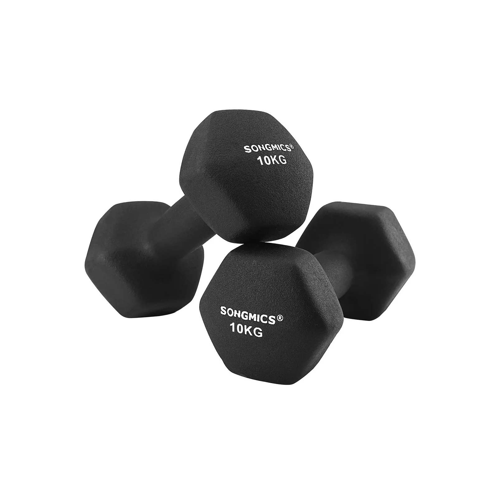 2 Haltères 10 kg noir