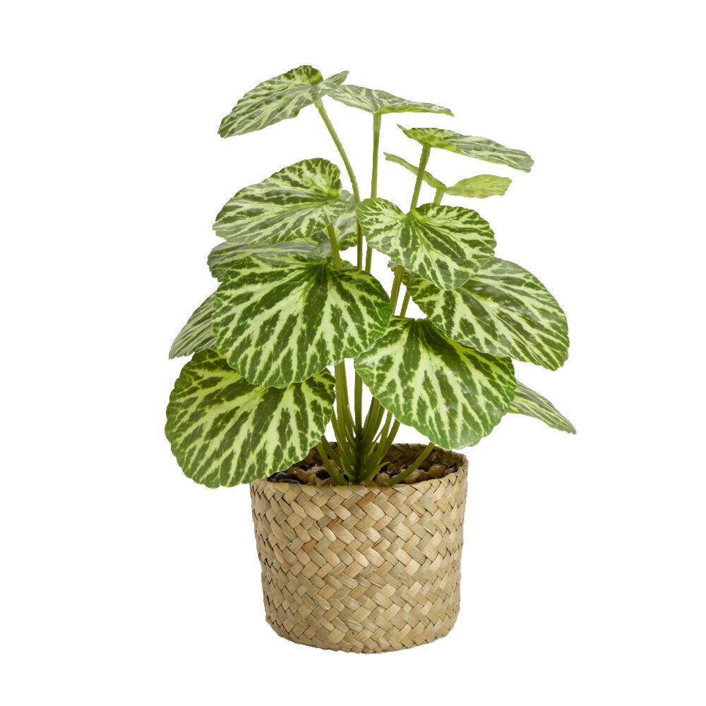 Plante verte artificielle en pot panier Ø12xH30cm - 2 modèles