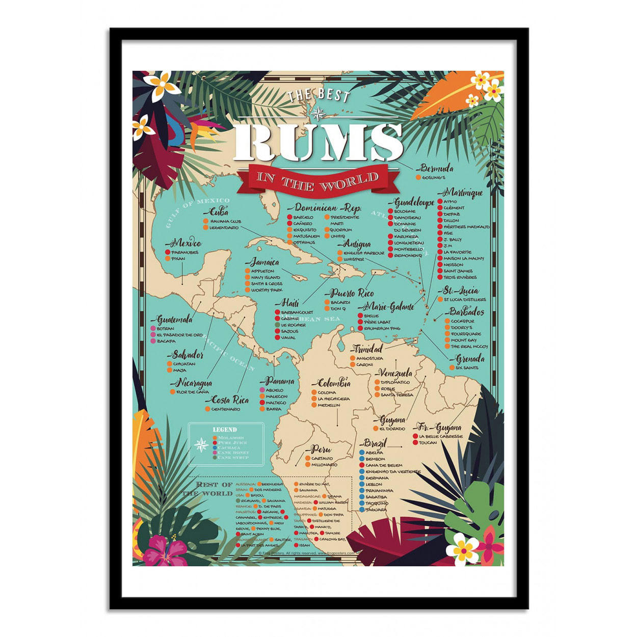 FROG POSTERS - BEST RUMS IN THE WORLD - FROG POSTERS - Affiche d'art 50 x 70 cm