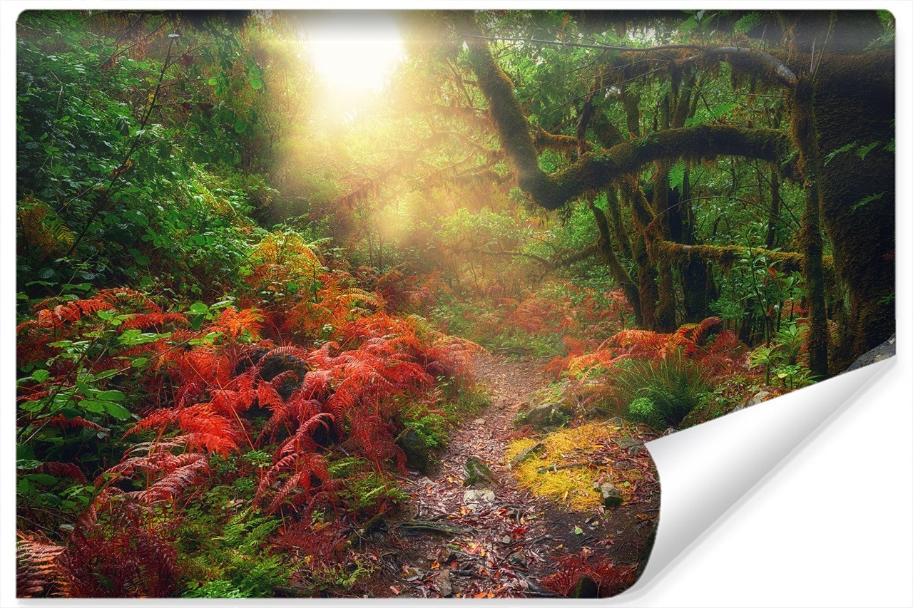 Fototapeta Do Sypialni LEŚNA Alejka Natura 90x60cm