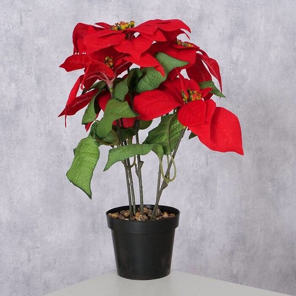 Sztuczna gwiazda betlejemska w doniczce40 cm