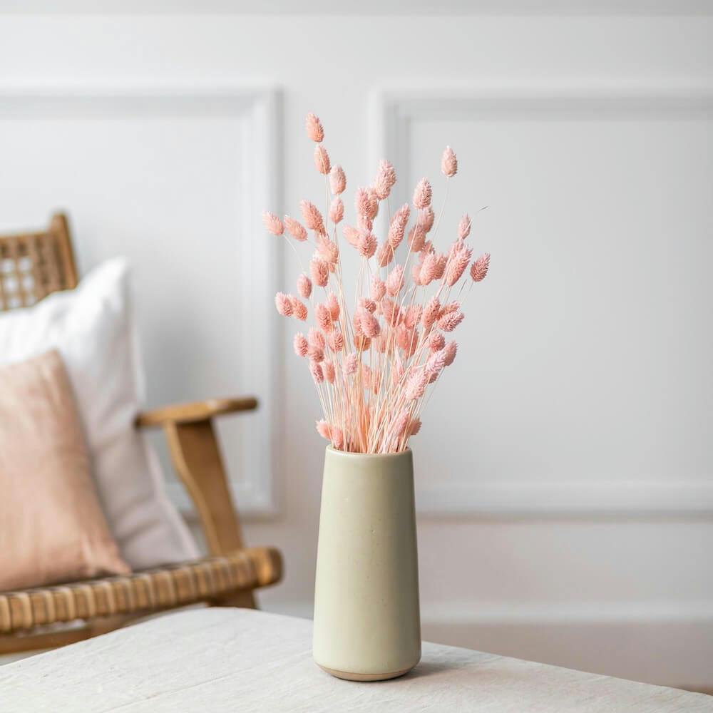 - Botte Phalaris rose poudré