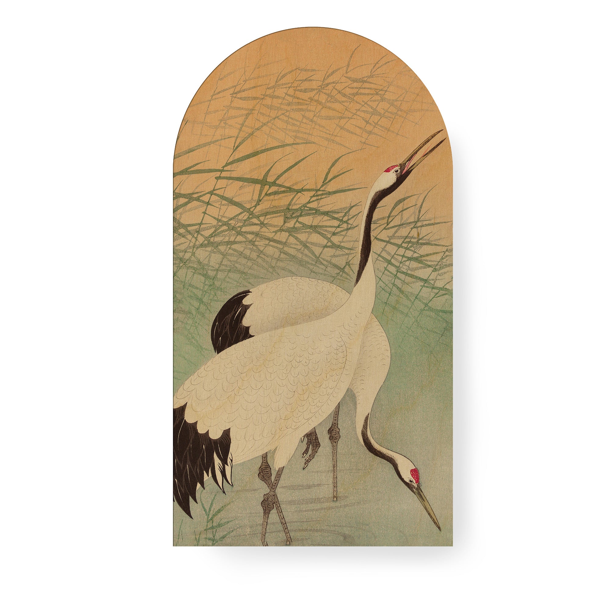 Art for the Home Canvas - Kraanvogels in de Ochtend - 100x54