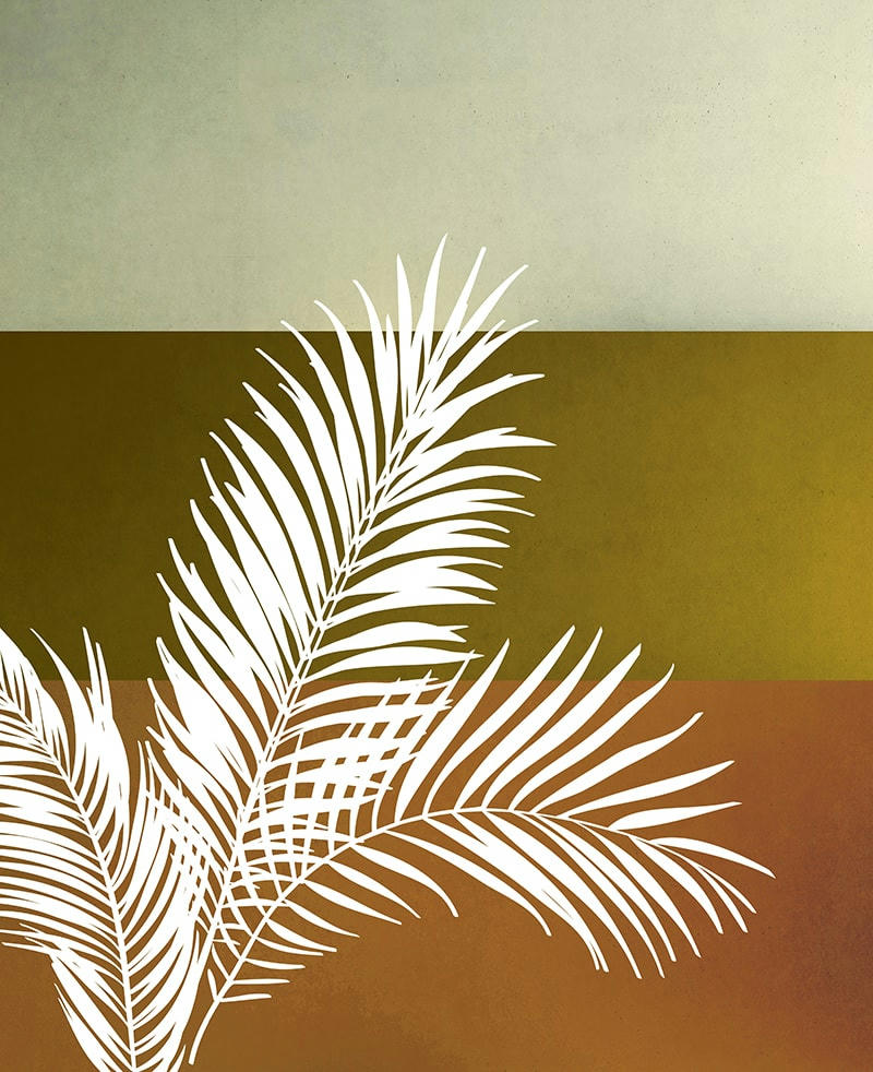 - Tableau sur toile Palm 40x50