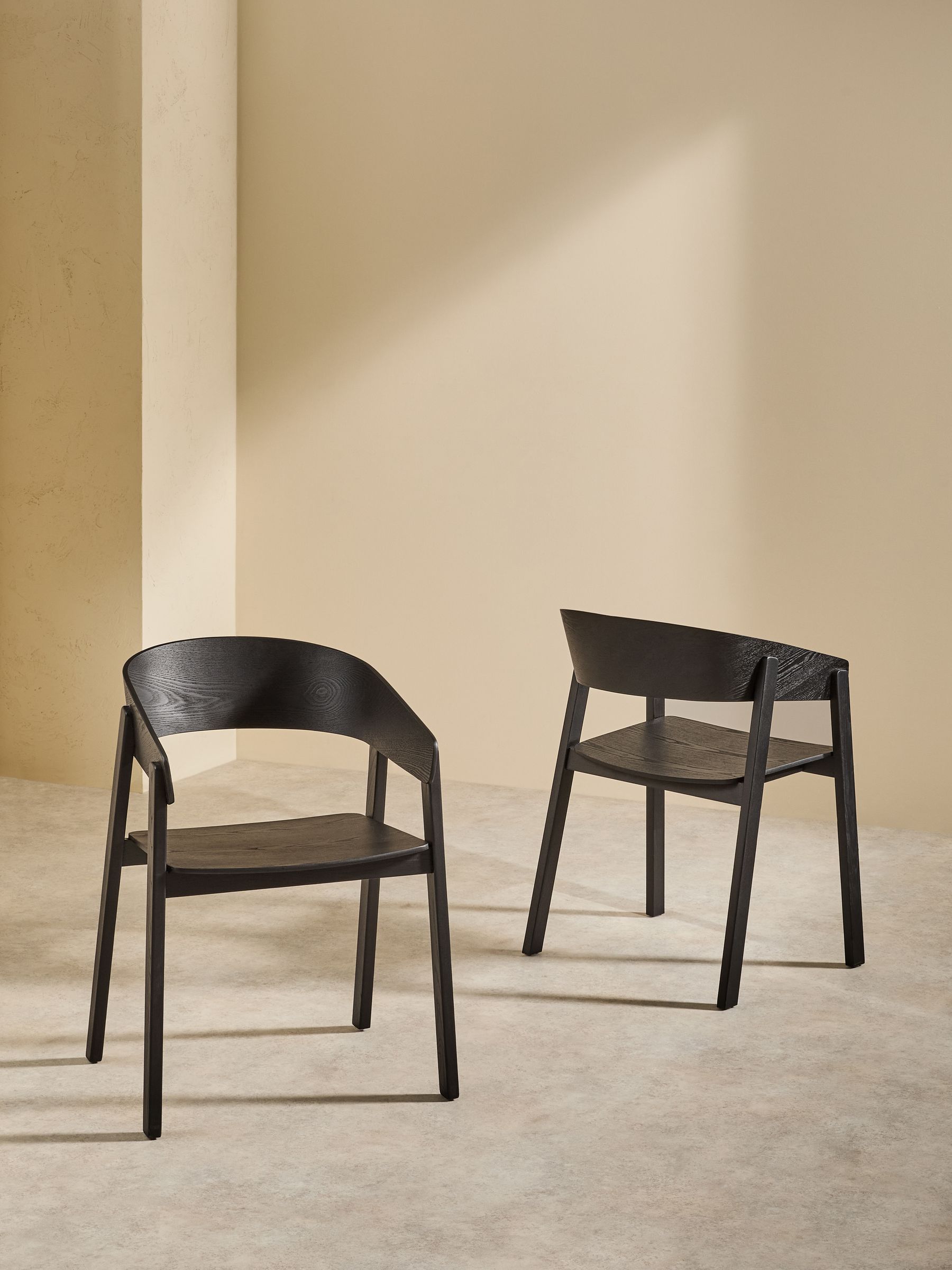 Set of 2 Aster Dining Chairs in Black