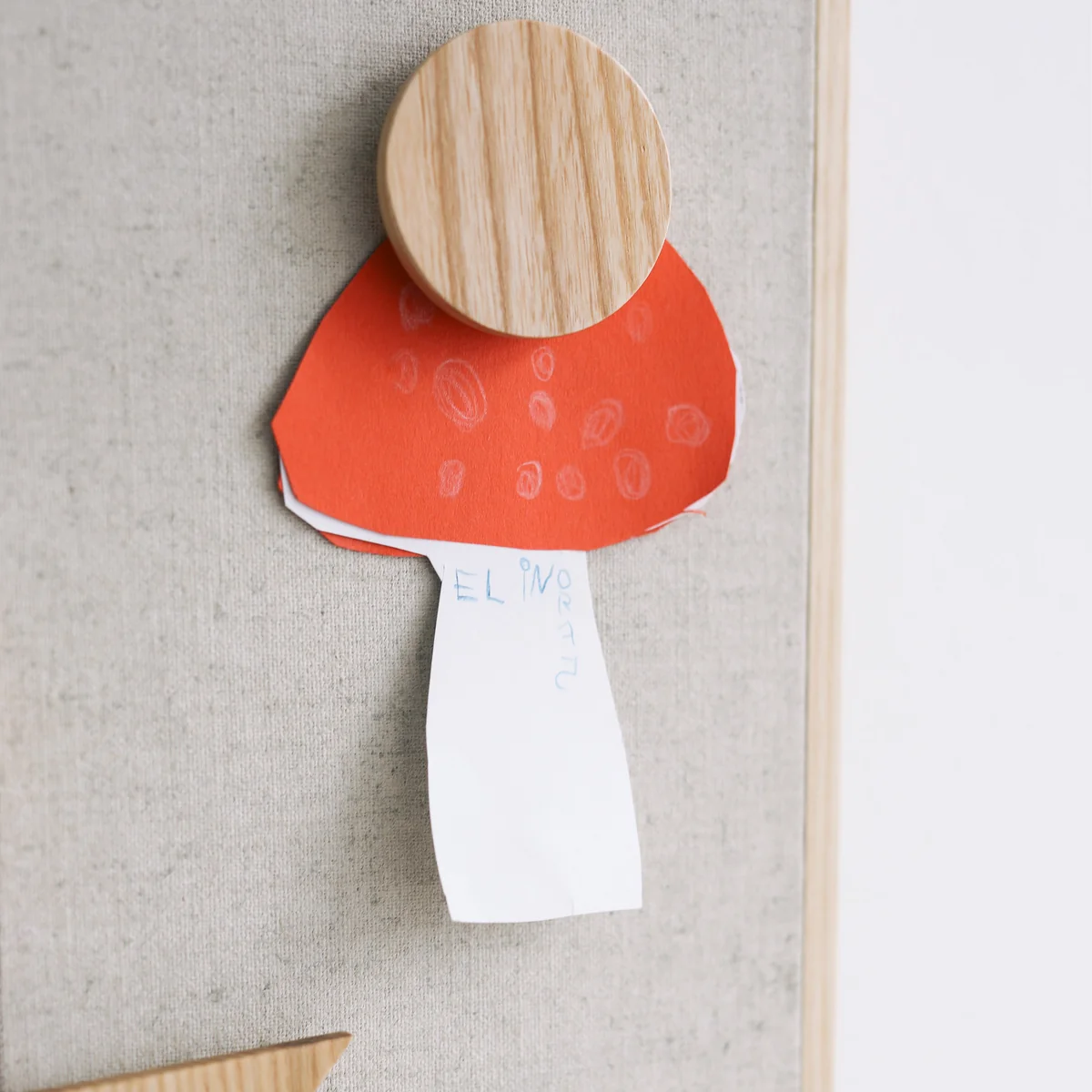 Nofred - Magnete für Pinnwand