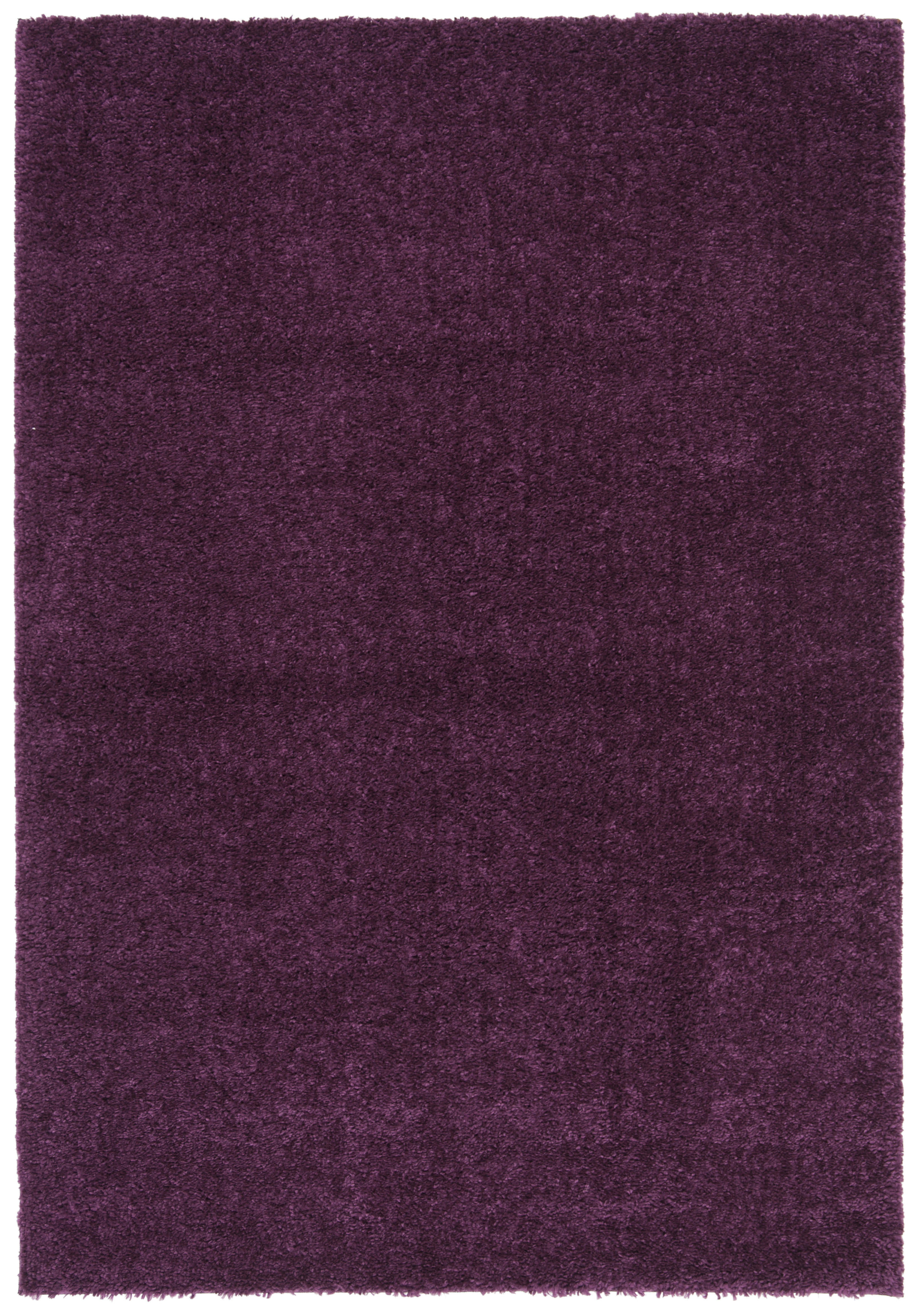AUGUST SHAG - Tapis de salon interieur en violet, 183 x 274 cm