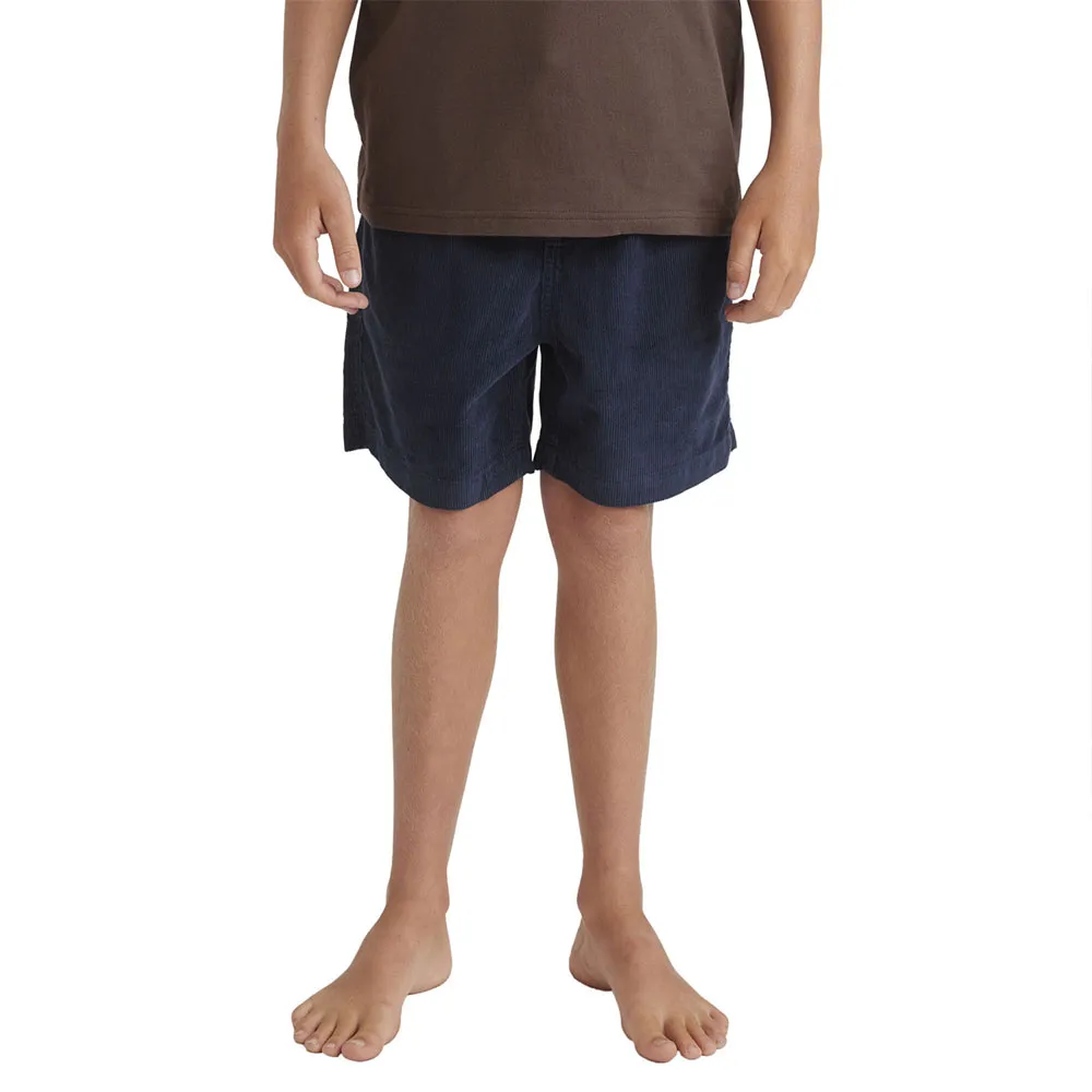 Quiksilver Taxer Cord shorts