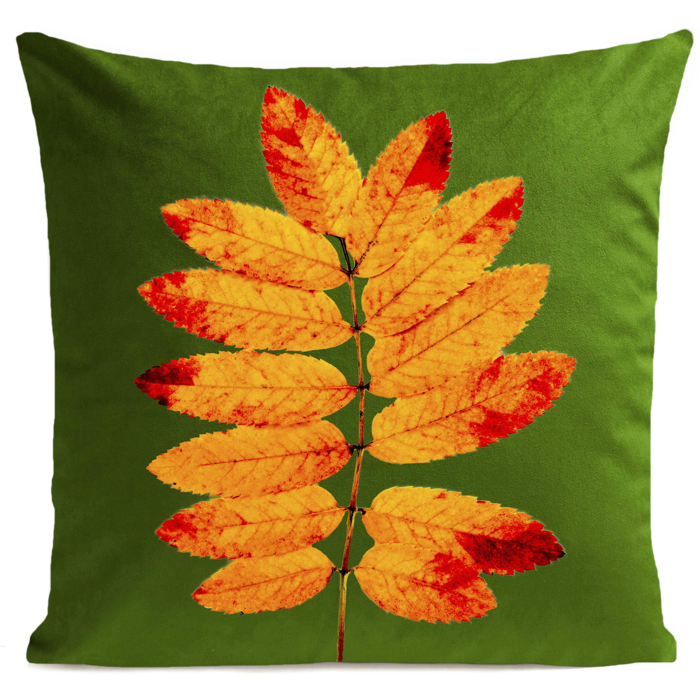 - Coussin automne suédine vert 40x40cm