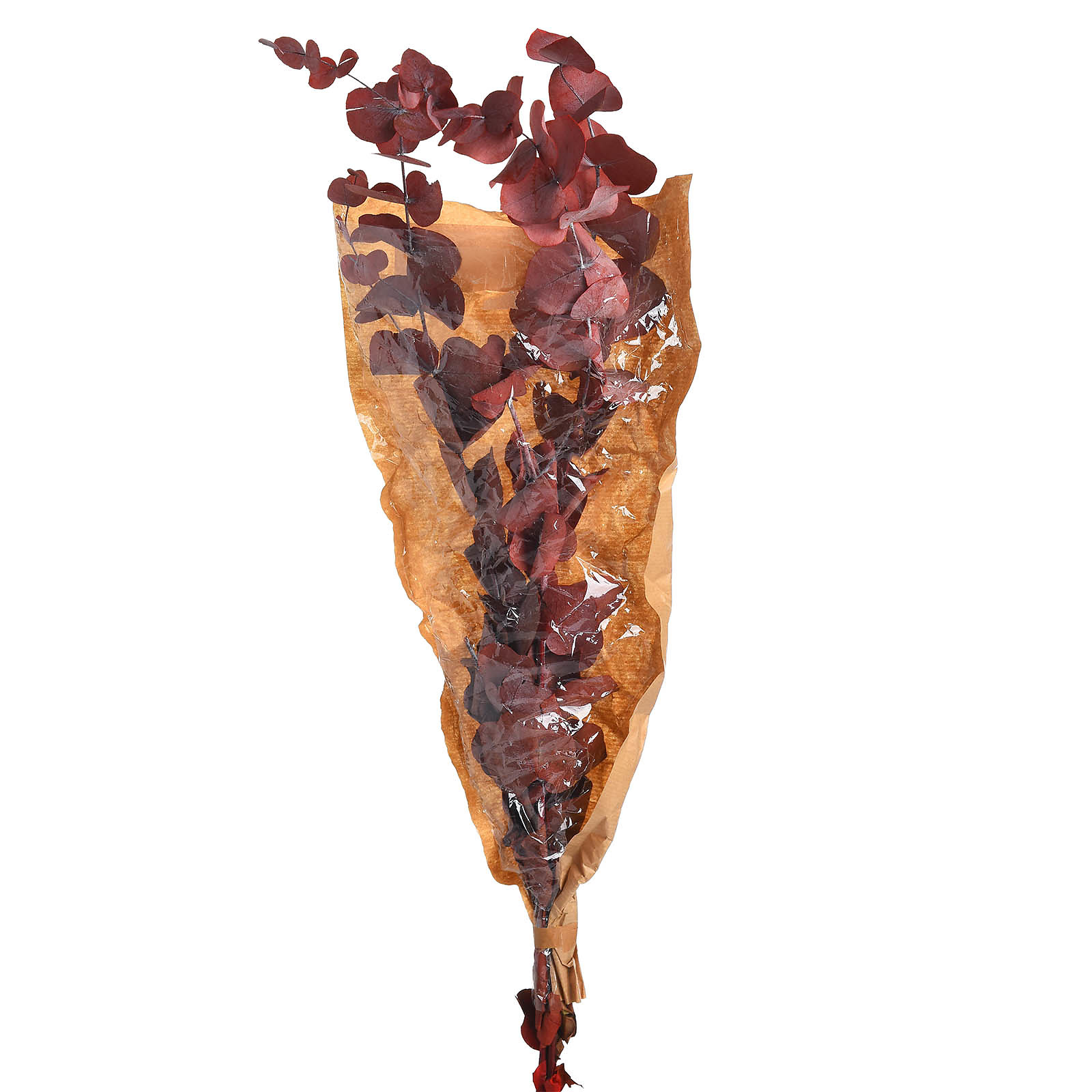 Trockenblumenbund Eukalyptus Rot,L 450 mm