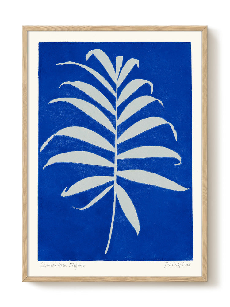 PrintedPlant - Chamaedorea - PSTR studio Kunst Poster