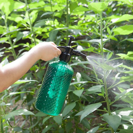 SOGA 2L Mist Water Spray Bottle with Adjustable Nozzle and Top Pump