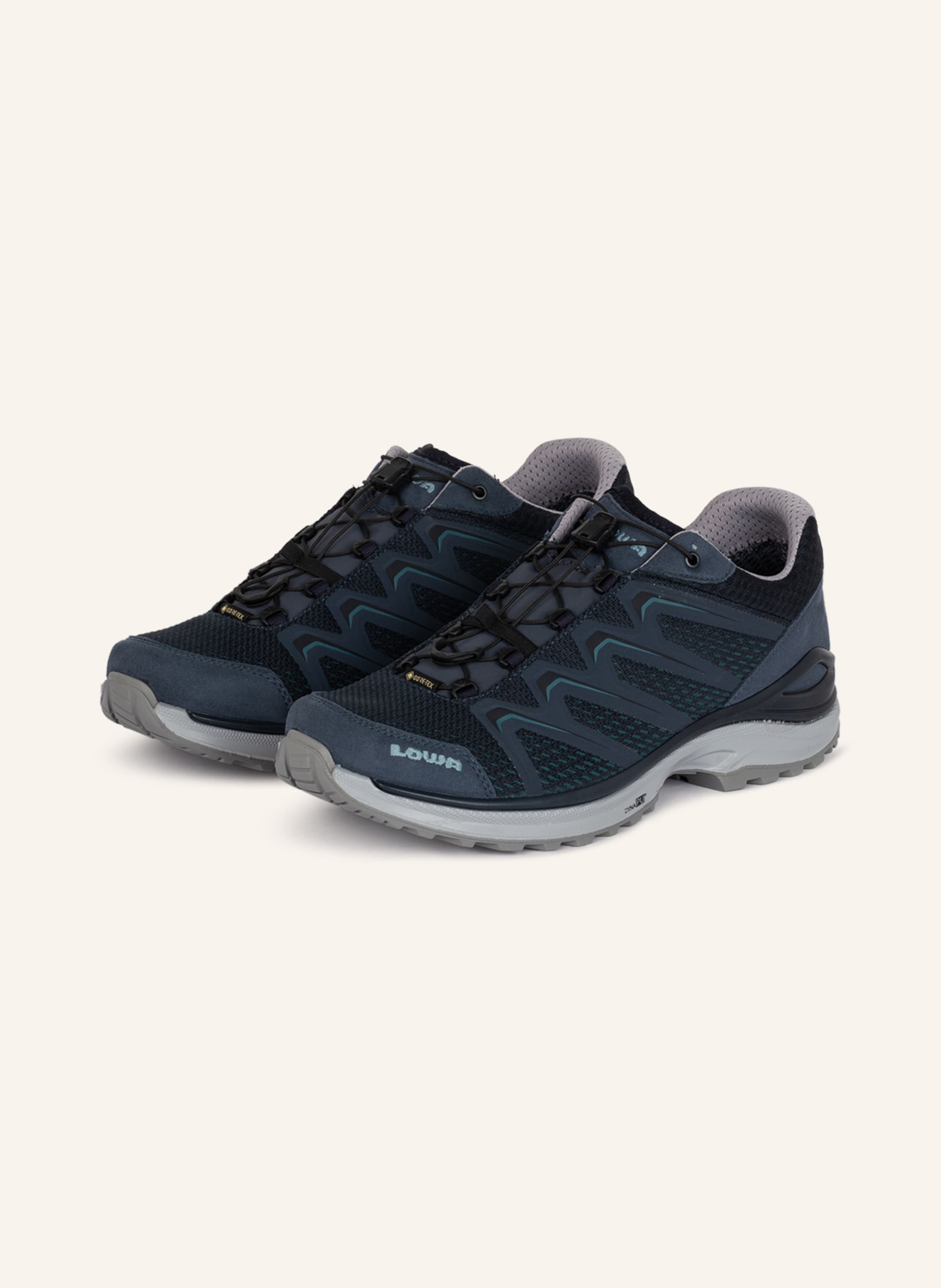 LOWA Multifunktionsschuhe MADDOX GTX LO