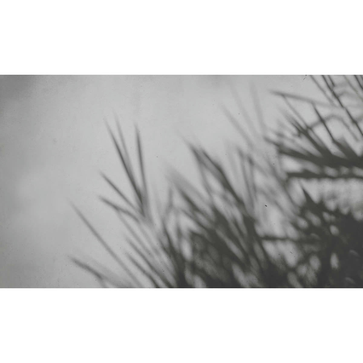 - Papier peint panoramique concrete bamboo 340 x 250 cm