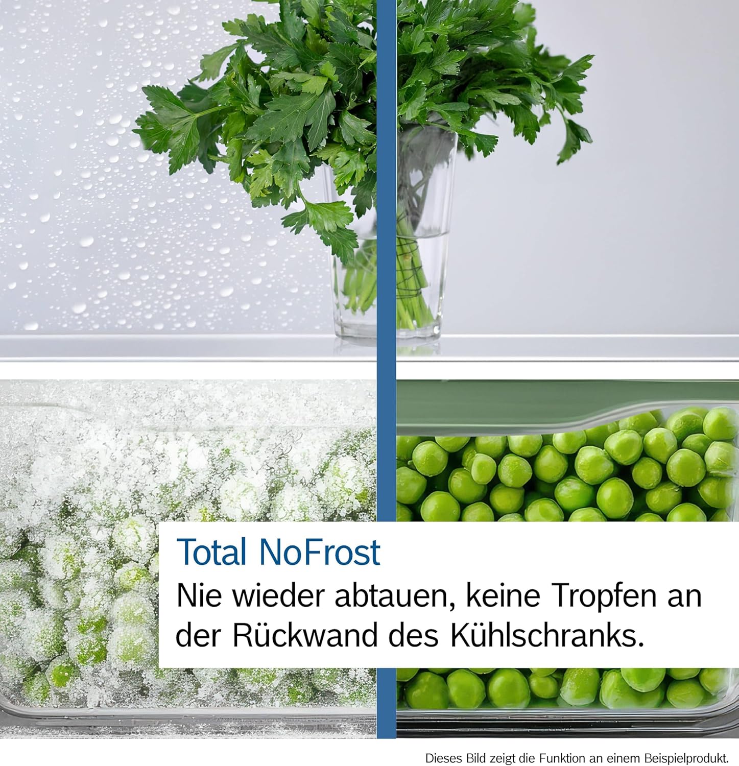 Bosch Series 4 Fridge Freezer