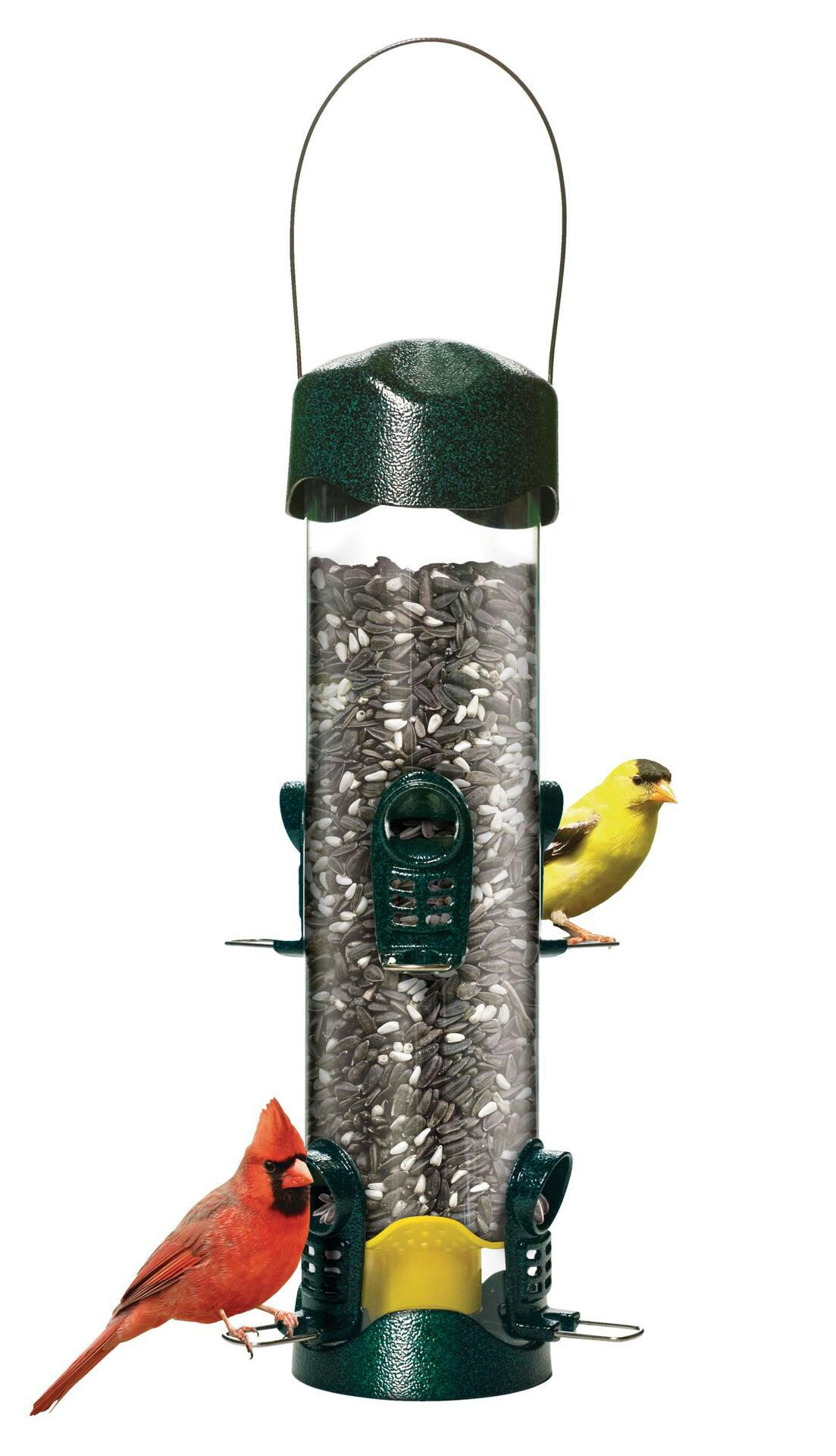 Brome Mega 600 High-Capacity Mountable Easy Bird Feeder with Removable Base, 4-lb