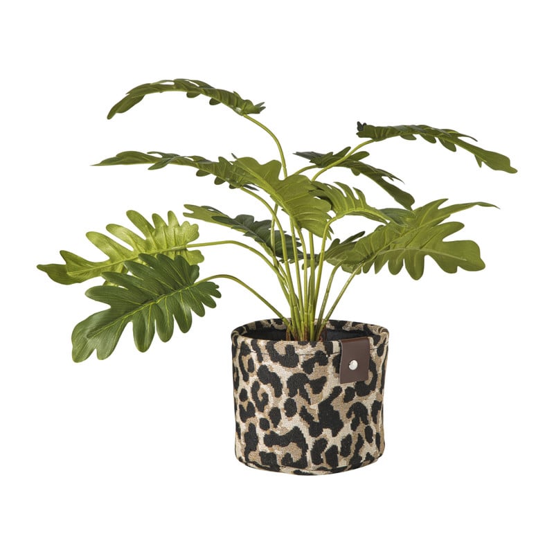 Mand luipaard - bruin/zwart - &Oslash;14x11 cm