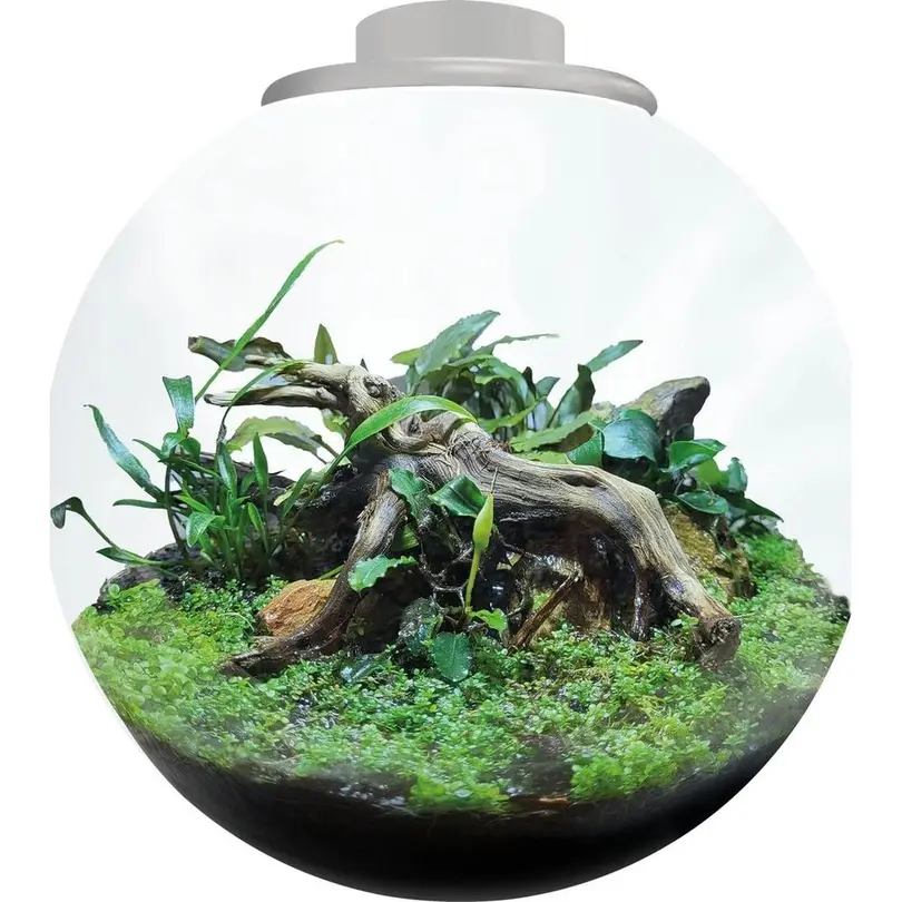 Pflanzschale Bio Art