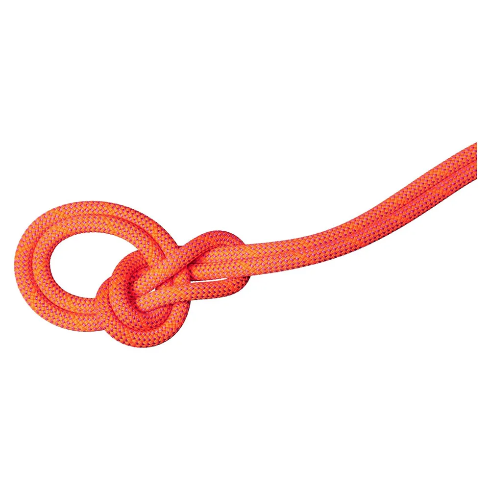 Mammut 9.8 mm Crag Dry 70 m rope